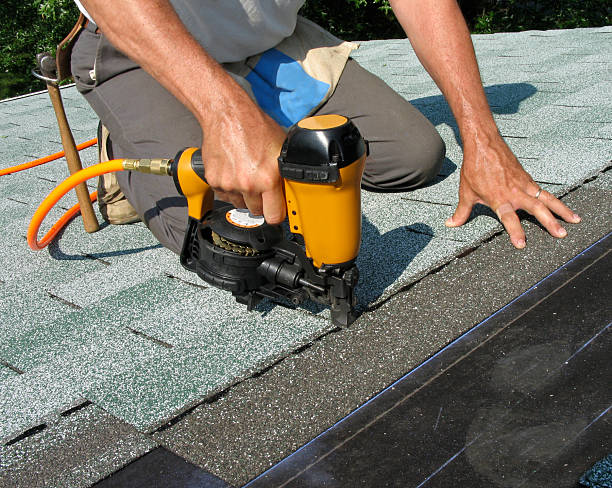 Best Metal Roofing Contractor  in Bertville, AL
