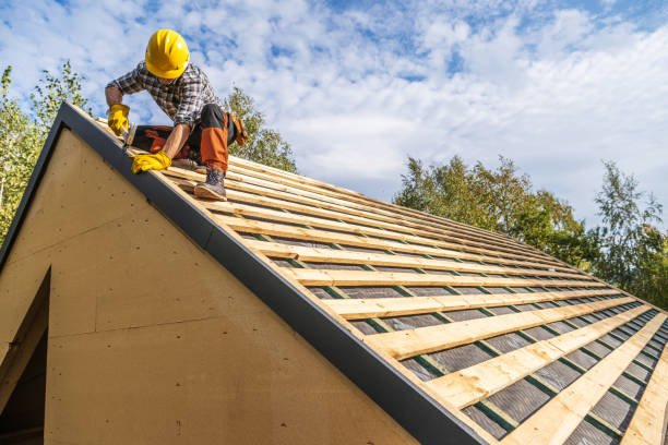 Best Metal Roofing Contractor  in Bertville, AL
