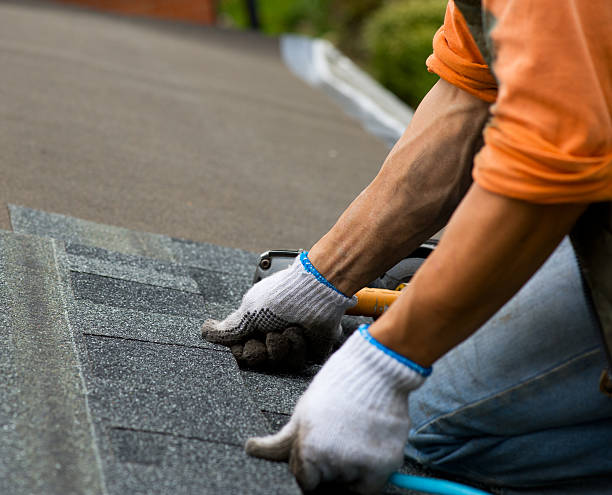 Best Local Roofing Companies  in Bertville, AL