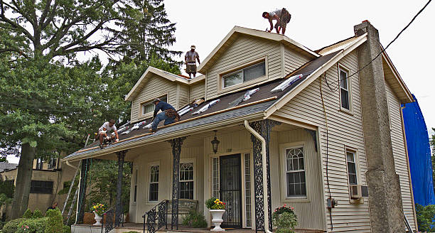 Best Commercial Roofing Services  in Bertville, AL