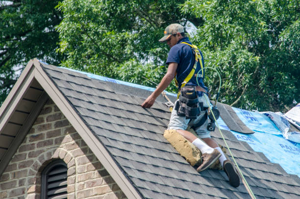 Best Roof Waterproofing Services  in Bertville, AL